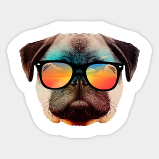 Cool summer house pug Sticker